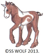 Sh'Halti as a foal
