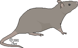 Zurui, Rat