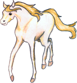 Fiora, Horse